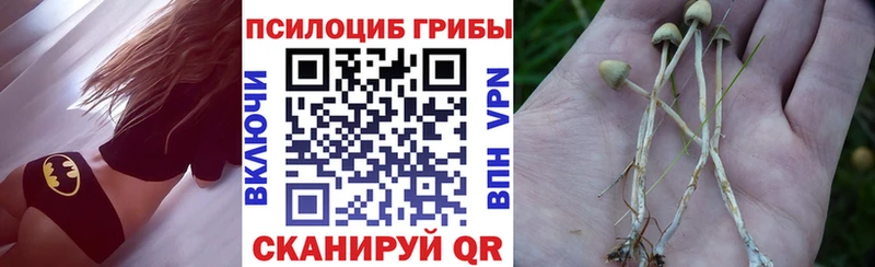 Псилоцибиновые грибы Magic Shrooms  Купить где  Углич 