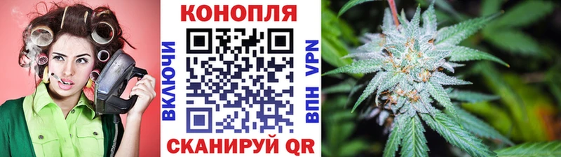 Купить где  Углич  Каннабис конопля 